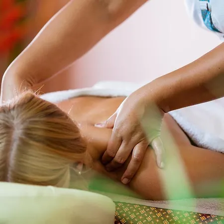 韦斯特瓦特里夫德尔帕克酒店 3* Oberlahr