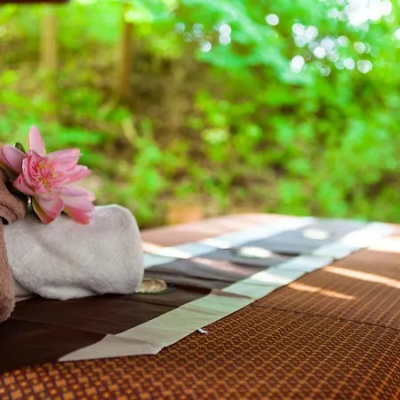 Hotelpark Der Westerwald Treff Otel 3*