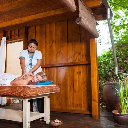 Hotelpark Der Westerwald Treff 3*