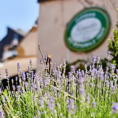 Otel Hotelpark Der Westerwald Treff 3*