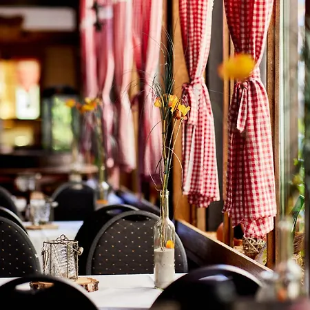 Hotelpark Der Westerwald Treff Otel