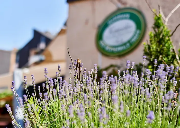 Hotel Hotelpark Der Westerwald Treff 3*